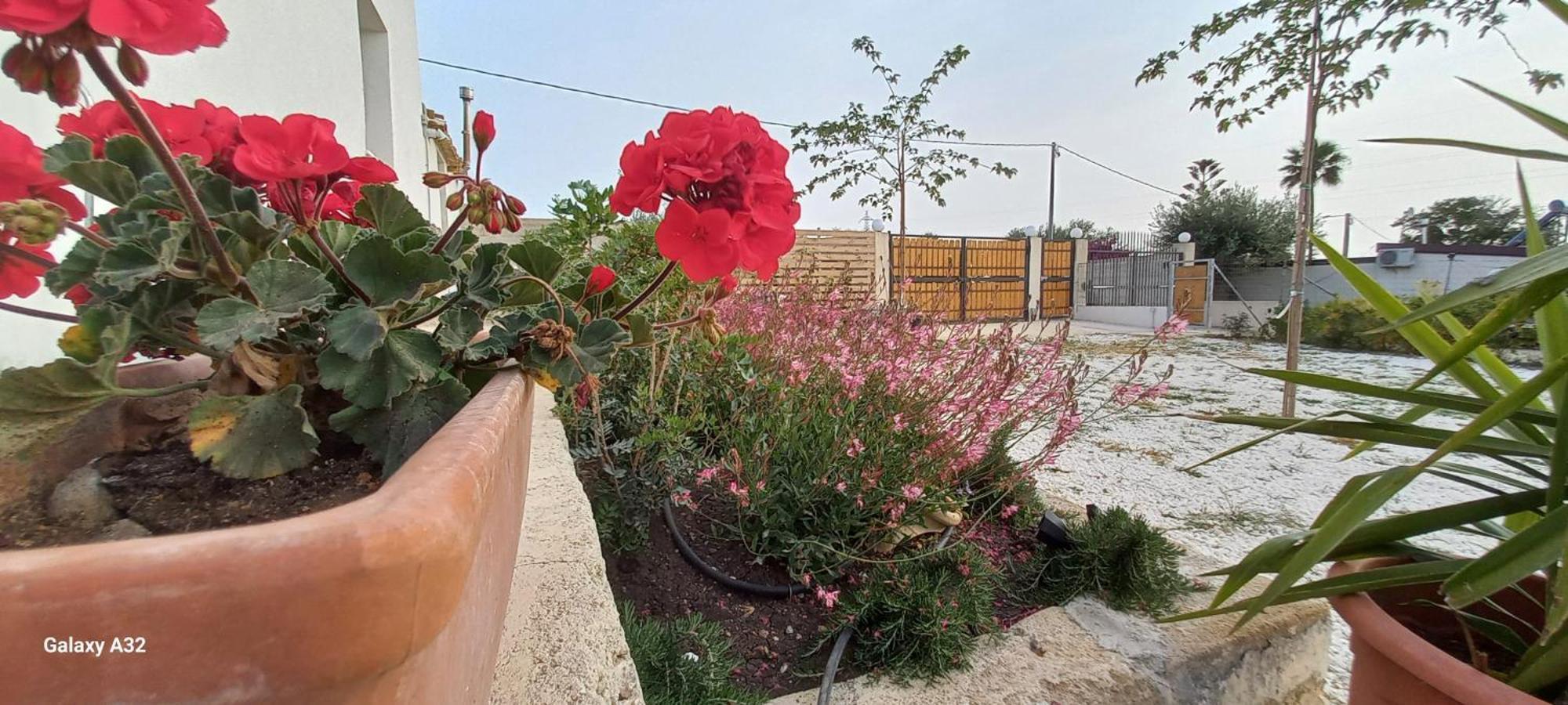 פקינו Almademari Giglio Casa Vacanza חדר תמונה