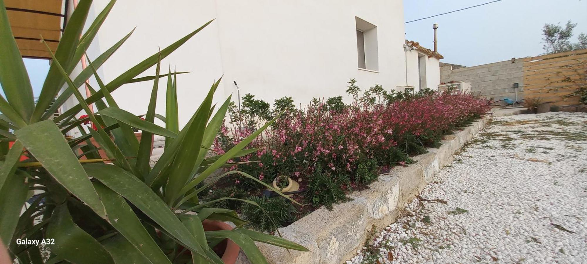 פקינו Almademari Giglio Casa Vacanza חדר תמונה